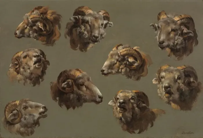 Framed Print : Studies of Ram Heads, 1700s. Creator: Unknown Framed Print : Studies of Ram Heads, 1700s. Creator: Unknown