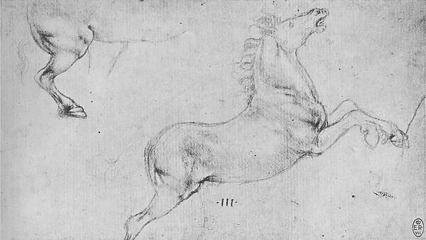 Studies of a Rearing Horse and a Horses Hind-Quarters, c1480 (1945). Artist: Leonardo da Vinci