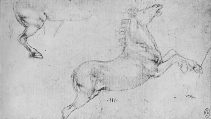 Framed Print : Studies of a Rearing Horse and a Horses Hind-Quarters, c1480 (1945). Artist: Leonardo da Vinci Framed Print : Studies of a Rearing Horse and a Horses Hind-Quarters, c1480 (1945). Artist: Leonardo da Vinci