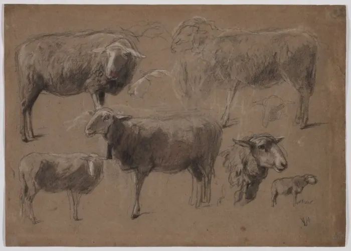 Framed Print : Studies of Sheep, second half 1800s. Creator: Anton Mauve (Dutch, 1838-1888) Framed Print : Studies of Sheep, second half 1800s. Creator: Anton Mauve (Dutch, 1838-1888)