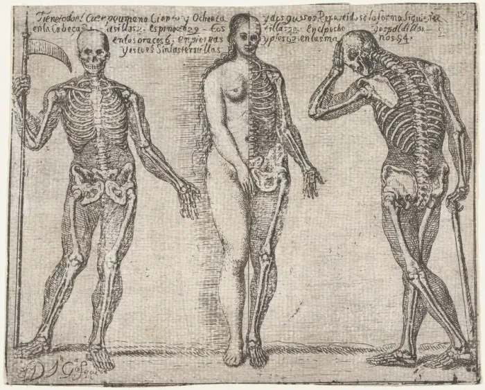 Framed Print : Studies of three skeleton, from the Principios para estudiar el Nobilisimo y Real art... ca. 1693. Creator: JoseGarcia Hidalgo Framed Print : Studies of three skeleton, from the Principios para estudiar el Nobilisimo y Real art... ca. 1693. Creator: JoseGarcia Hidalgo