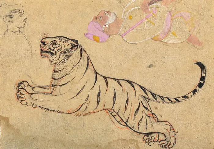 Framed Print : Studies of a Tiger and Two Humans, c1875. Creator: Unknown Framed Print : Studies of a Tiger and Two Humans, c1875. Creator: Unknown