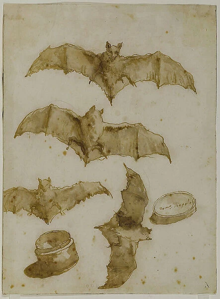 Study of bats and open box, 1790. Creator: Tiepolo, Giandomenico (1727-1804)