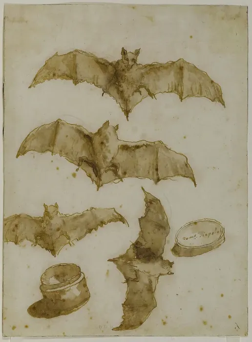 Framed Print : Study of bats and open box, 1790. Creator: Tiepolo, Giandomenico (1727-1804) Framed Print : Study of bats and open box, 1790. Creator: Tiepolo, Giandomenico (1727-1804)