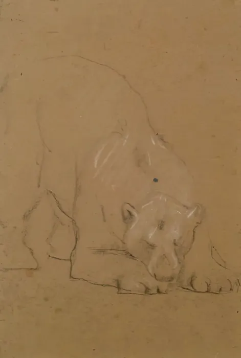 Framed Print : Study of a Bear, 1900-1910. Creator: John MacAllan Swan Framed Print : Study of a Bear, 1900-1910. Creator: John MacAllan Swan