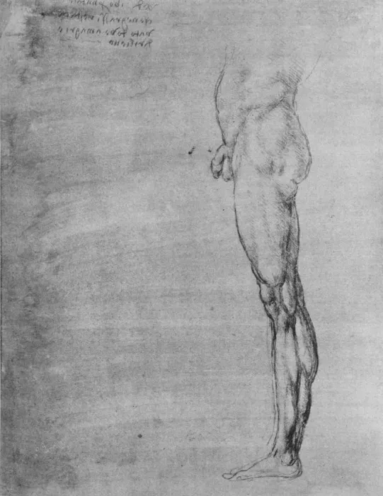 Framed Print : Study of the Body and Leg of a Man, c1480 (1945). Artist: Leonardo da Vinci Framed Print : Study of the Body and Leg of a Man, c1480 (1945). Artist: Leonardo da Vinci