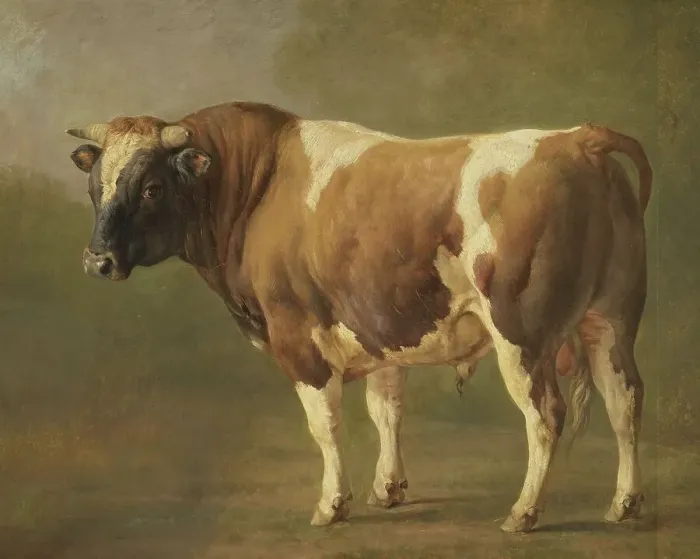 Framed Print : Study of a Bull, 1830-1867. Creator: Jacques-Raymond Brascassat Framed Print : Study of a Bull, 1830-1867. Creator: Jacques-Raymond Brascassat