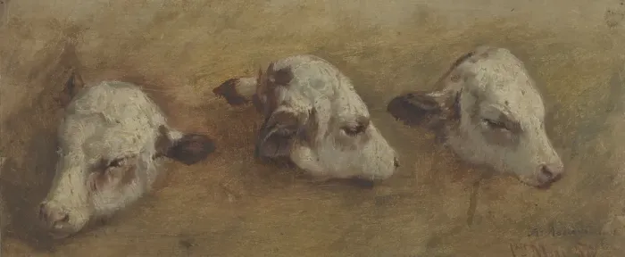Framed Print : Study of Calfheads, 1858. Creator: Anders Monsen Askevold Framed Print : Study of Calfheads, 1858. Creator: Anders Monsen Askevold