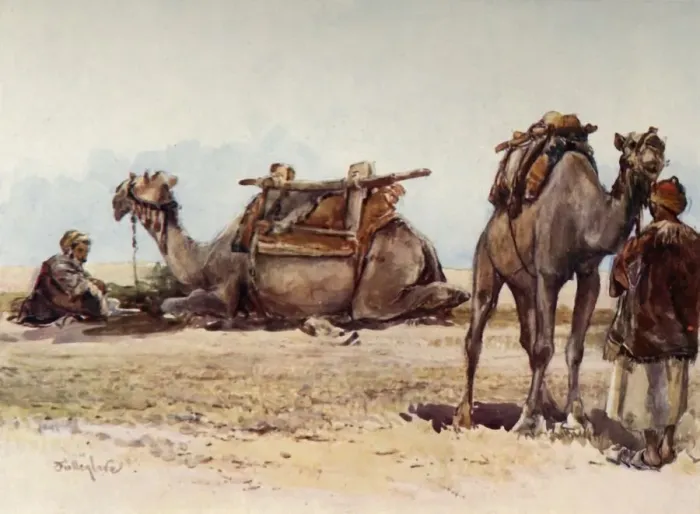 Framed Print : Study of Camels and Attendants, 1902. Creator: John Fulleylove Framed Print : Study of Camels and Attendants, 1902. Creator: John Fulleylove
