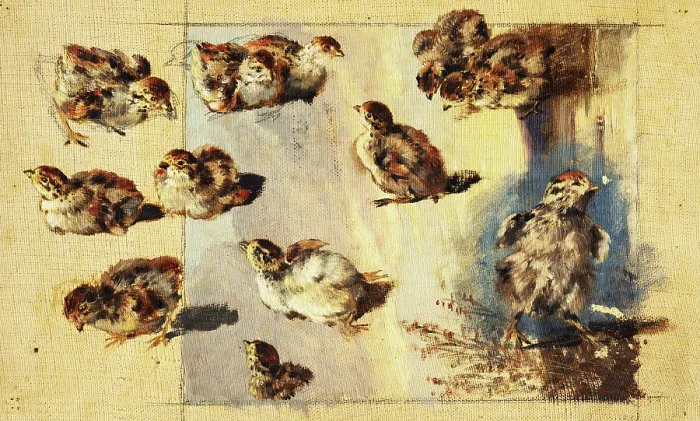 Framed Print : Study of Chicks, 1840-1850. Creator: Friedrich Carl von Scheidlin Framed Print : Study of Chicks, 1840-1850. Creator: Friedrich Carl von Scheidlin