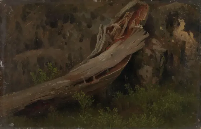 Framed Print : Study of a decaying Trunk, probably 1851. Creator: Herman August Cappelen Framed Print : Study of a decaying Trunk, probably 1851. Creator: Herman August Cappelen
