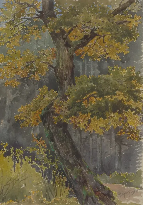 Framed Print : Study of a deciduous tree. Motif from St. George, 1881. Creator: Friedrich Carl von Scheidlin