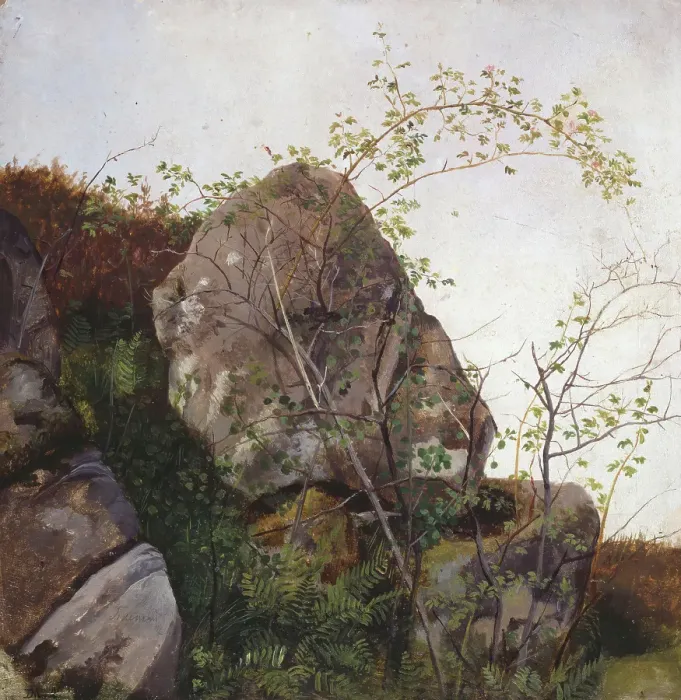 Framed Print : Study of Dog Roses and Ferns, 1834. Creator: Adolph Tidemand Framed Print : Study of Dog Roses and Ferns, 1834. Creator: Adolph Tidemand