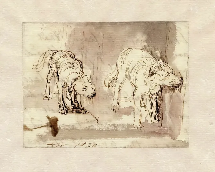 Framed Print : Study of Dogs, 1820. Creator: David Wilkie Framed Print : Study of Dogs, 1820. Creator: David Wilkie