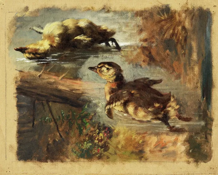 Framed Print : Study of Ducks on the Water I, 1840-1850. Creator: Friedrich Carl von Scheidlin Framed Print : Study of Ducks on the Water I, 1840-1850. Creator: Friedrich Carl von Scheidlin