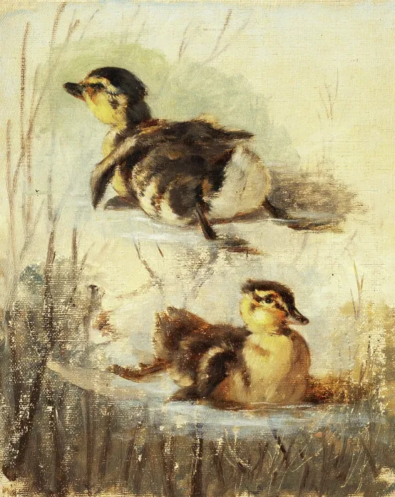 Framed Print : Study of Ducks on the Water II, 1840-1850. Creator: Friedrich Carl von Scheidlin Framed Print : Study of Ducks on the Water II, 1840-1850. Creator: Friedrich Carl von Scheidlin