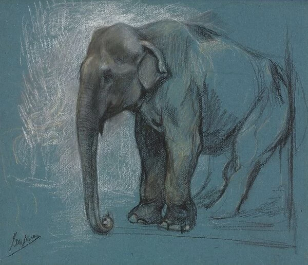Study of an Elephant. Creator: John Macallan Swan (British, 1847-1910)