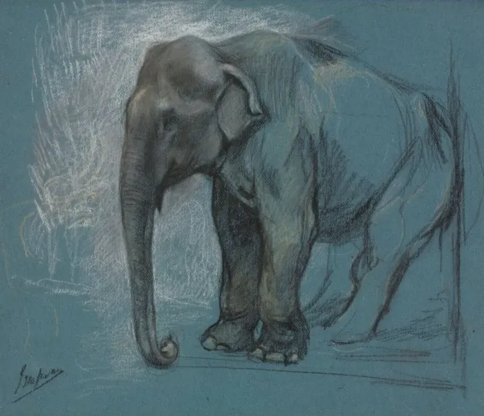 Framed Print : Study of an Elephant. Creator: John Macallan Swan (British, 1847-1910) Framed Print : Study of an Elephant. Creator: John Macallan Swan (British, 1847-1910)