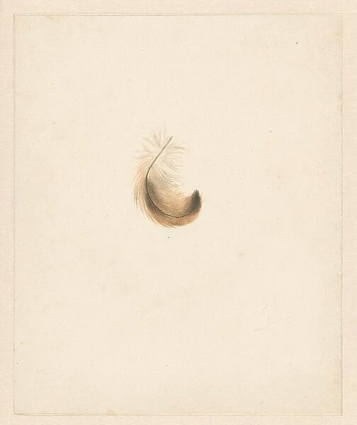 Study of a feather, 1824-1900. Creator: Albertus Steenbergen