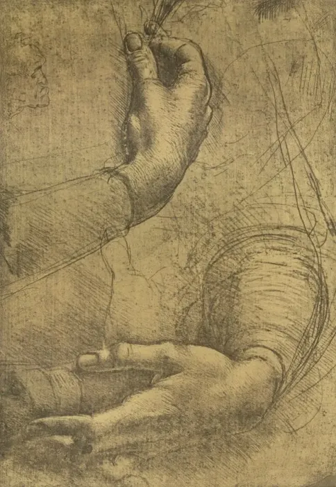 Framed Print : Study of female hands, c1472-c1519 (1883). Artist: Leonardo da Vinci Framed Print : Study of female hands, c1472-c1519 (1883). Artist: Leonardo da Vinci