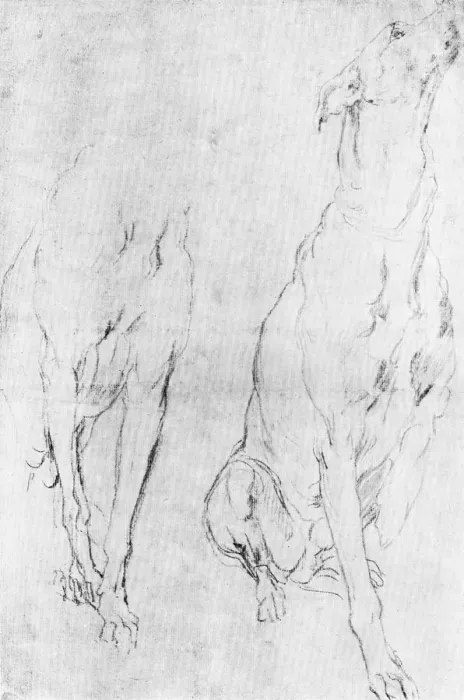 Framed Print : Study for the greyhound in the portrait of the Duke of Richmond, c1634 (1900)