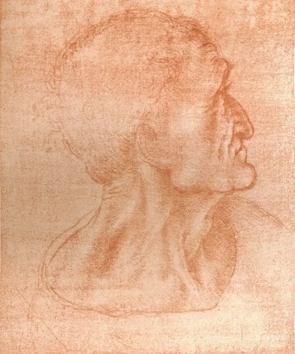 Framed Print : Study for the head of Judas in `The Last Supper`, c1494-c1499 (1883). Artist: Leonardo da Vinci Framed Print : Study for the head of Judas in `The Last Supper`, c1494-c1499 (1883). Artist: Leonardo da Vinci