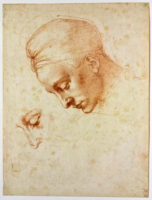 Framed Print : Study to the head of Leda, ca 1530. Artist: Buonarroti, Michelangelo (1475-1564) Framed Print : Study to the head of Leda, ca 1530. Artist: Buonarroti, Michelangelo (1475-1564)