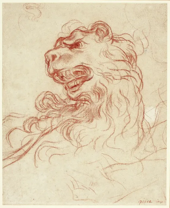 Framed Print : Study of the Head of a Lion, n.d. Creator: Baldassare Franceschini Framed Print : Study of the Head of a Lion, n.d. Creator: Baldassare Franceschini