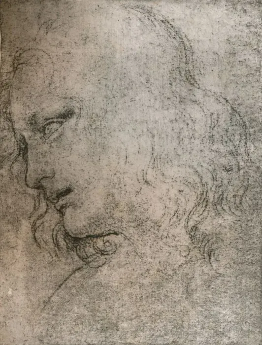 Framed Print : Study for the head of St Philip in `The Last Supper`, c1494-c1499 (1883). Artist: Leonardo da Vinci Framed Print : Study for the head of St Philip in `The Last Supper`, c1494-c1499 (1883). Artist: Leonardo da Vinci