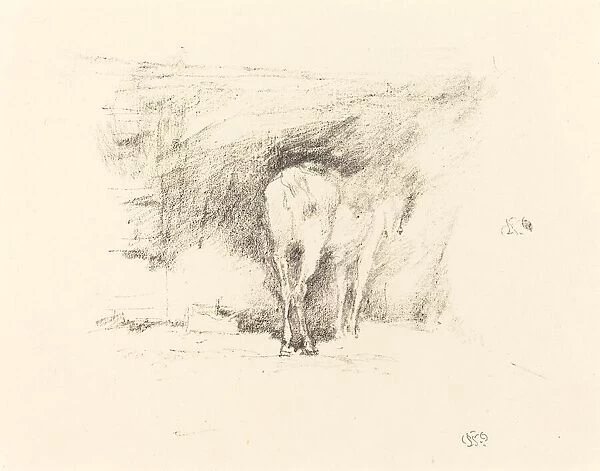 Study of a Horse, 1895. Creator: James Abbott McNeill Whistler