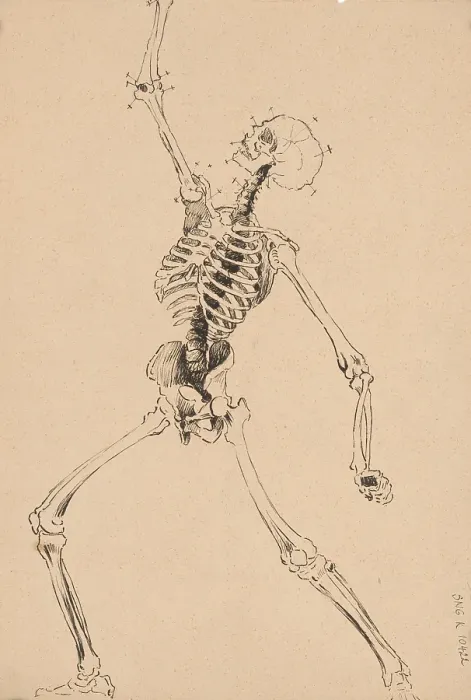 Framed Print : Study of a human skeleton, 1880-1904. Creator: Janos Fadrusz Framed Print : Study of a human skeleton, 1880-1904. Creator: Janos Fadrusz