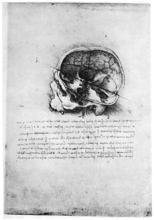Framed Print : Study of a human skull, late 15th or early 16th century (1954). Artist: Leonardo da Vinci Framed Print : Study of a human skull, late 15th or early 16th century (1954). Artist: Leonardo da Vinci
