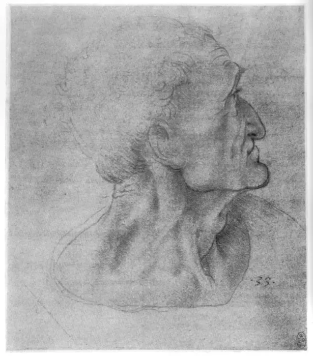 Framed Print : Study of Judas for The Last Supper, c1495 (1954). Artist: Leonardo da Vinci Framed Print : Study of Judas for The Last Supper, c1495 (1954). Artist: Leonardo da Vinci