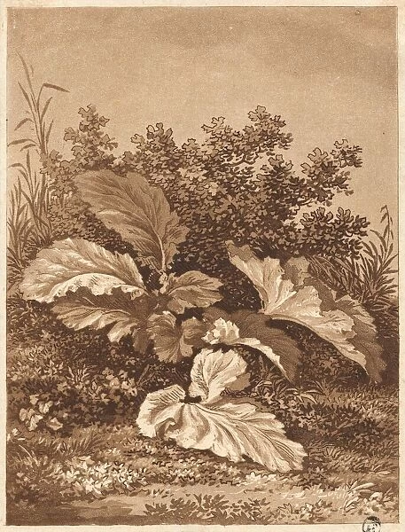 A Study of Leaves, c. 1800. Creator: Anton Balzer