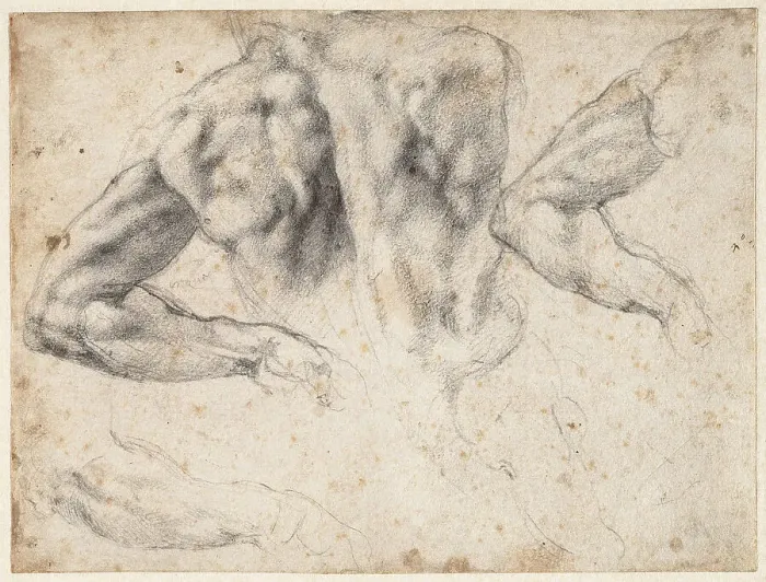 Framed Print : Study of the back and left arm of a male nude, 1523-1524. Creator: Buonarroti, Michelangelo (1475-1564) Framed Print : Study of the back and left arm of a male nude, 1523-1524. Creator: Buonarroti, Michelangelo (1475-1564)