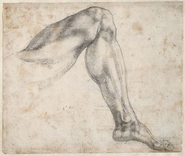 Study of a leg, 1524. Creator: Buonarroti, Michelangelo (1475-1564)