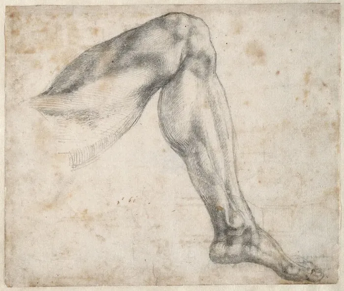 Framed Print : Study of a leg, 1524. Creator: Buonarroti, Michelangelo (1475-1564) Framed Print : Study of a leg, 1524. Creator: Buonarroti, Michelangelo (1475-1564)