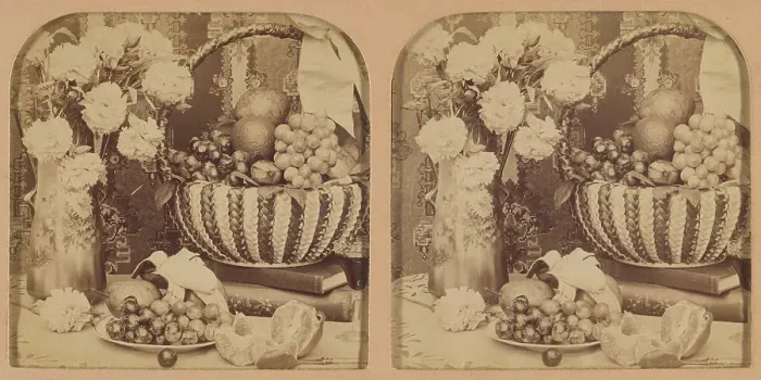 Framed Print : A Study in Still Life. 1902. Creator: RY Young Framed Print : A Study in Still Life. 1902. Creator: RY Young