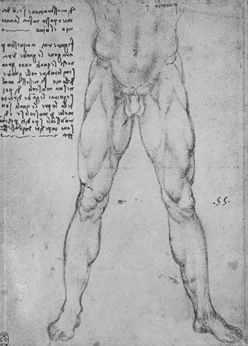 Framed Print : Study of the Lower Half of a Nude Man Facing to the Front, c1480 (1945). Artist: Leonardo da Vinci Framed Print : Study of the Lower Half of a Nude Man Facing to the Front, c1480 (1945). Artist: Leonardo da Vinci