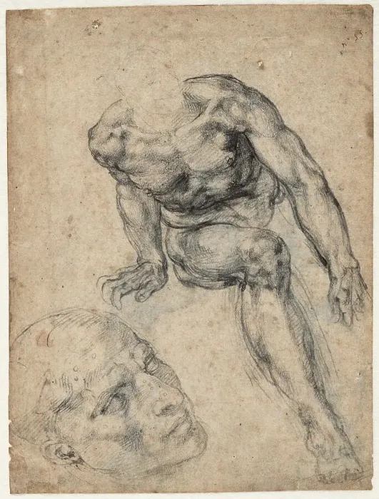 Framed Print : Study of a male nude, ca 1537. Creator: Buonarroti, Michelangelo (1475-1564) Framed Print : Study of a male nude, ca 1537. Creator: Buonarroti, Michelangelo (1475-1564)