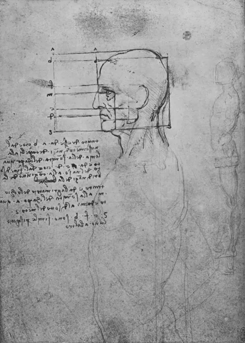 Framed Print : Study of a Mans Nude Torso, the Head Squared for Proportion, c1480 (1945). Artist: Leonardo da Vinci Framed Print : Study of a Mans Nude Torso, the Head Squared for Proportion, c1480 (1945). Artist: Leonardo da Vinci