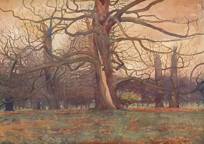 Framed Print : Study of an Oak Tree, c1878 (1903-1904). Artist: George Wilson Framed Print : Study of an Oak Tree, c1878 (1903-1904). Artist: George Wilson