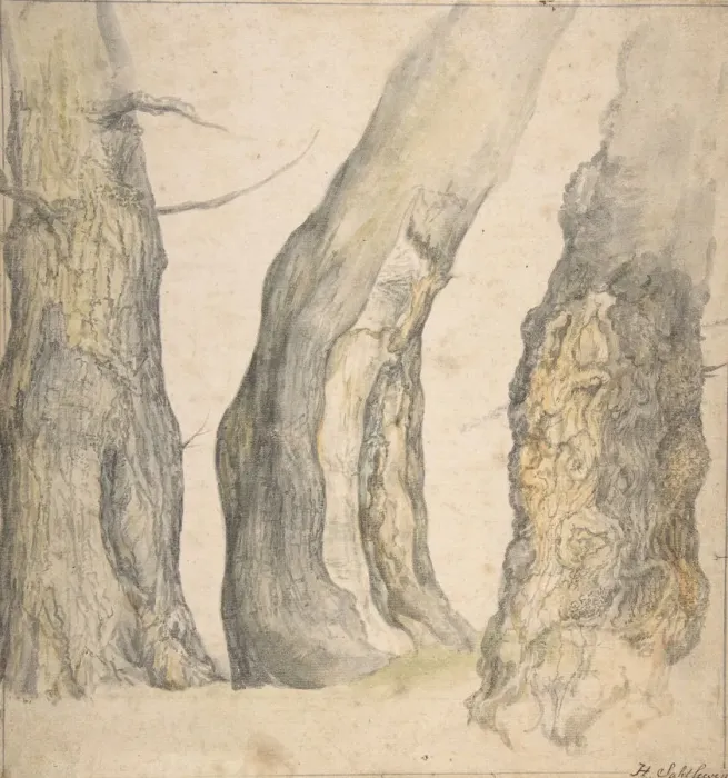 Framed Print : Study of Three Old Gnarled Trees, 1660. Creator: Jan Siberechts Framed Print : Study of Three Old Gnarled Trees, 1660. Creator: Jan Siberechts