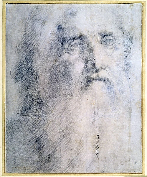 Study of an old Mans head with a beard, c1535. Artist: Domenico Beccafumi