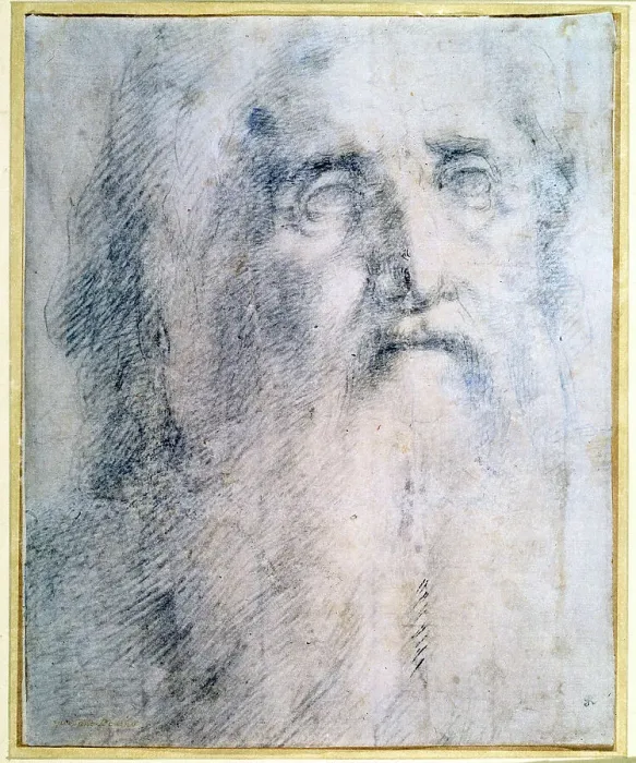 Framed Print : Study of an old Mans head with a beard, c1535. Artist: Domenico Beccafumi Framed Print : Study of an old Mans head with a beard, c1535. Artist: Domenico Beccafumi