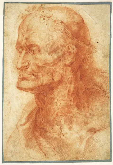 Framed Print : Study of an Old Mans Head, ca 1602. Creator: Rubens, Pieter Paul (1577-1640)