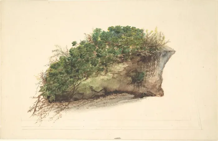 Framed Print : Study of a Piece of Turf, early 19th century. Creator: Anon Framed Print : Study of a Piece of Turf, early 19th century. Creator: Anon