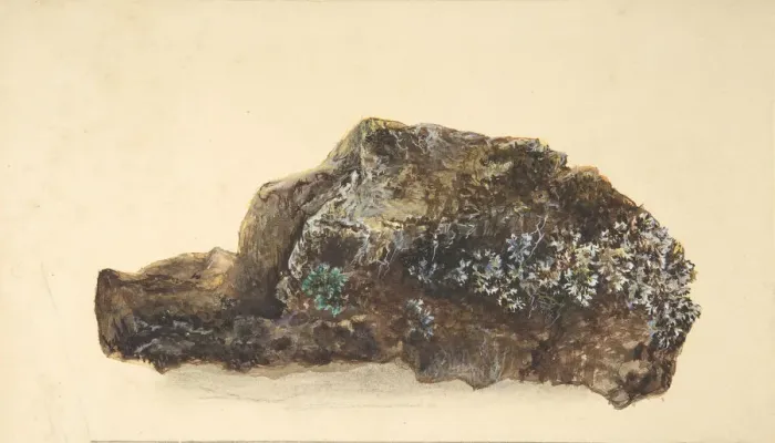 Framed Print : Study of a Rock, early 19th century. Creator: Anon Framed Print : Study of a Rock, early 19th century. Creator: Anon