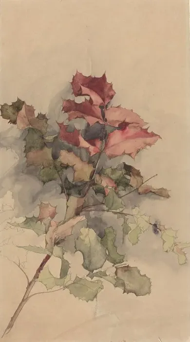 Framed Print : Study of the shrub, 1900. Creator: Karel Vitezslav Masek Framed Print : Study of the shrub, 1900. Creator: Karel Vitezslav Masek