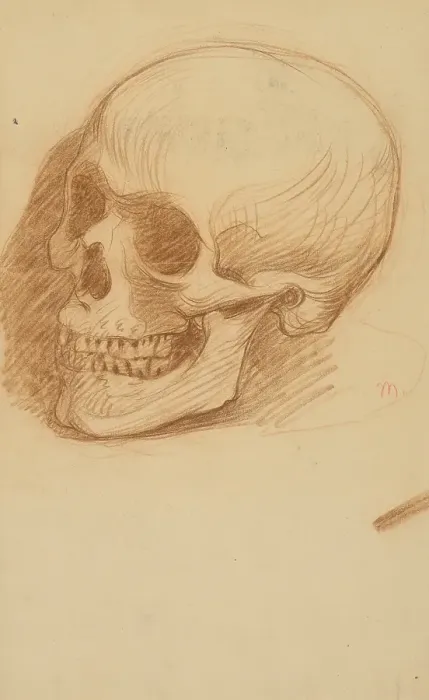 Framed Print : Study of a skull, 1895-1900. Creator: Milan Thomka Mitrovsky
